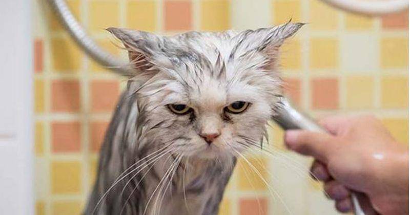 Pinterest/Kat Proctor