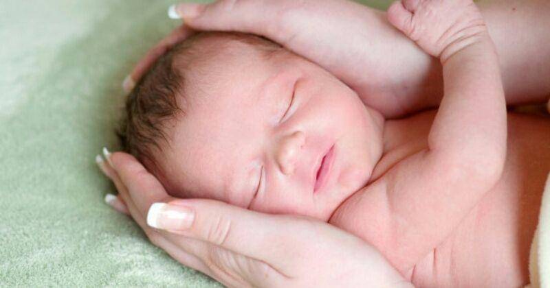 Freepik/lelia_milaya