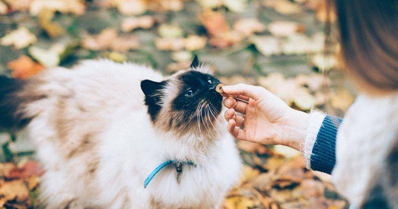 Unsplash/Freestocks.org