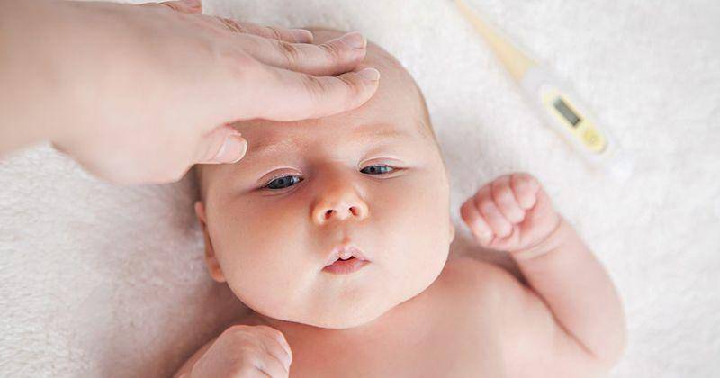 Penyakit tifus pada bayi - wattlehealth.com.au