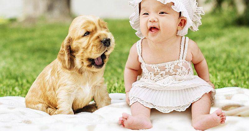 Pixabay/Sarah Richter Art