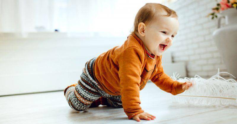 Freepik/Freepic.diller