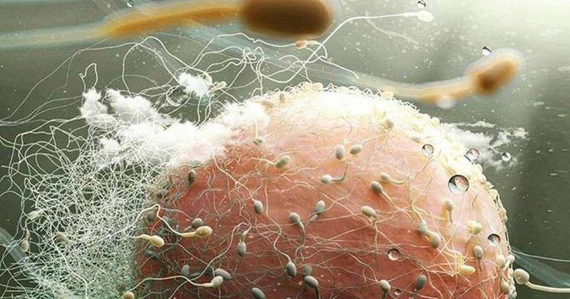 Instagram.com/science