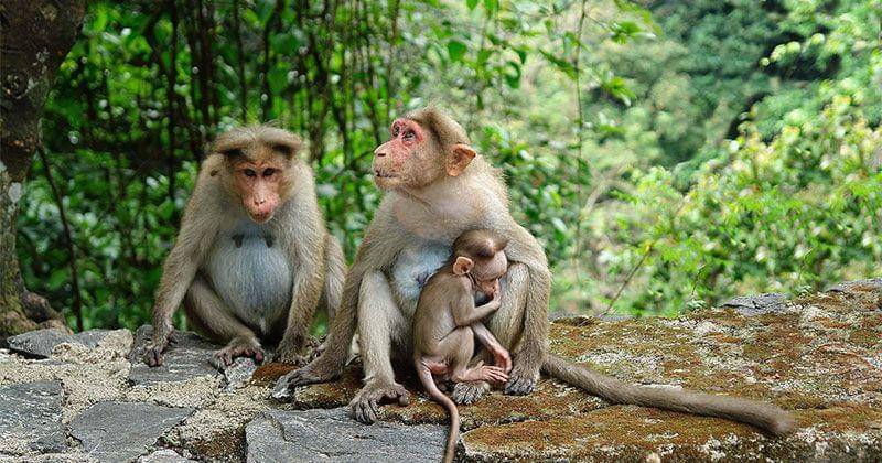 Unsplash/bill wegener