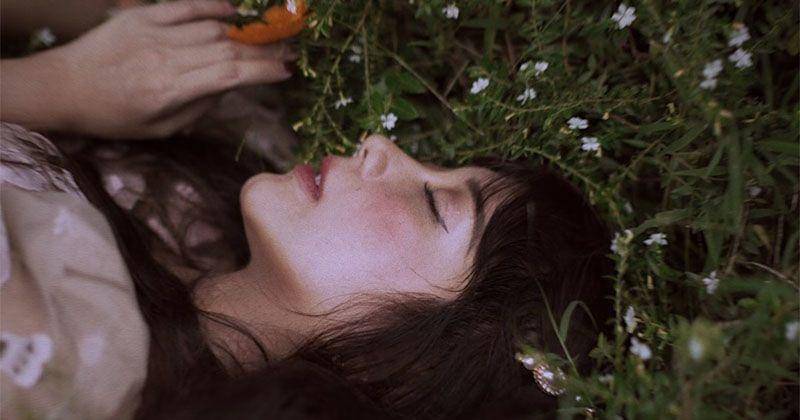 Instagram.com/lucedaleco 