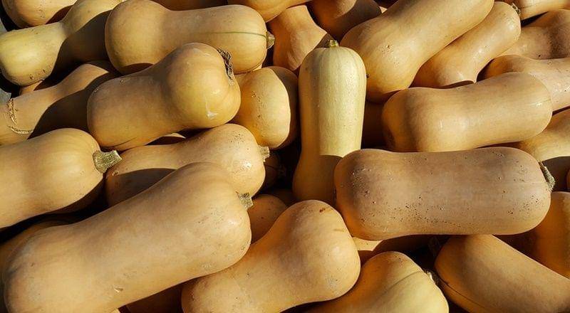 pixabay.com/JoBanana