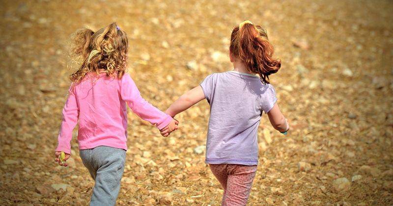 Pixabay/Moshe Harosh