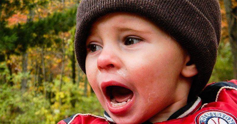 Pixabay/amandacatherine