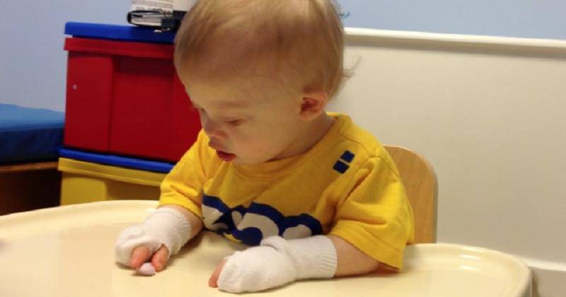 Pinterest/Noah's Dad