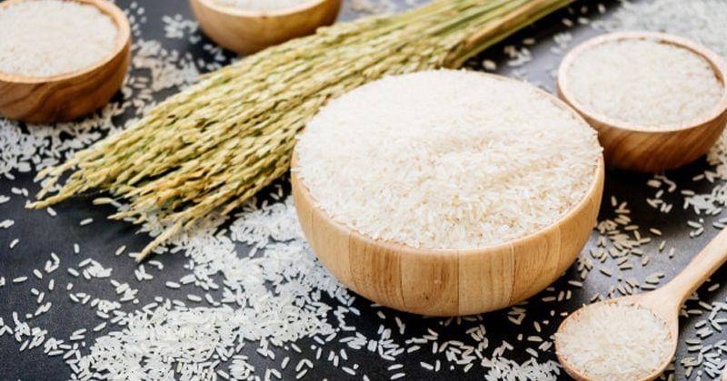 Freepik/Lifeforstock