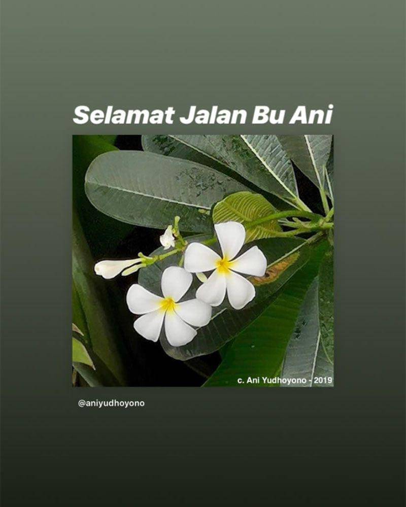 Instagram.com/ayudiac