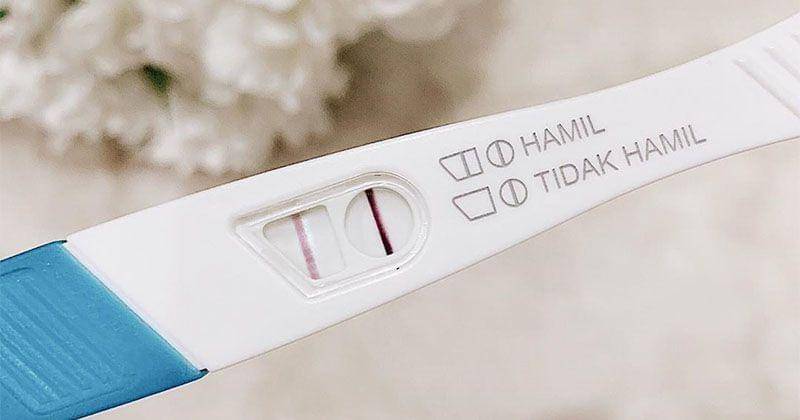 Instagram.com/syahnazs