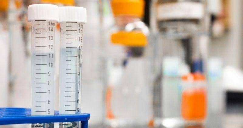 Pexels.com/Martin Lopez