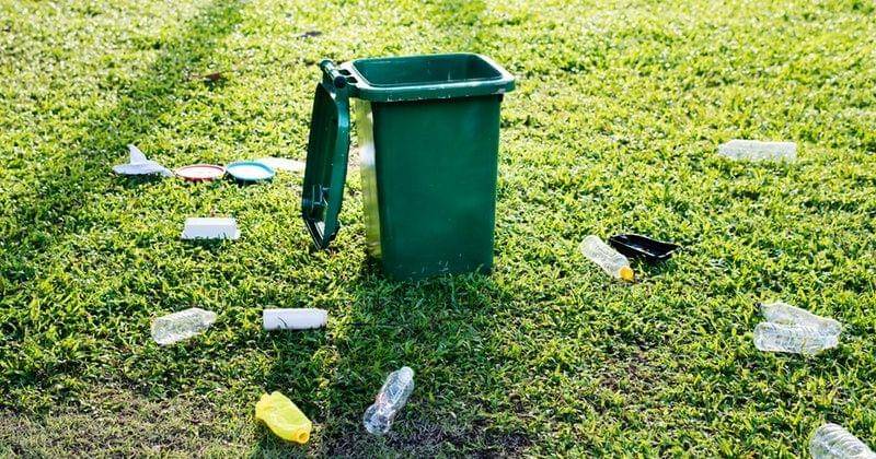 Pexels.com/rawpixel.com