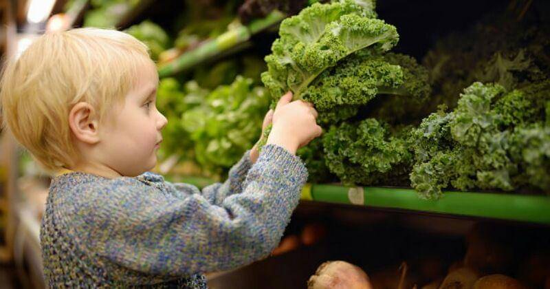 Freepik/maria_sbytova