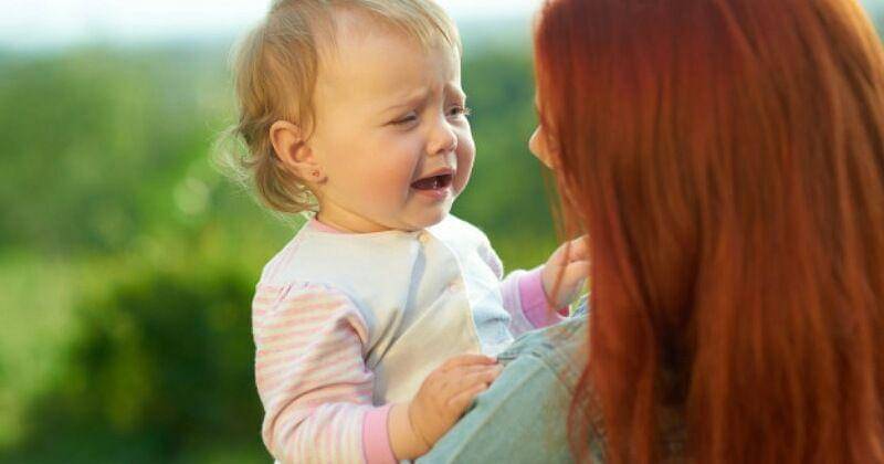 Freepik/Serhii_bobyk