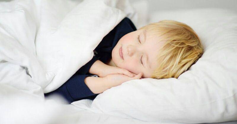 Freepik/maria_sbytova