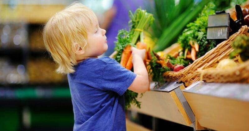 Freepik/maria_sbytova