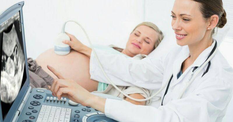 Freepik/Wavebreakmedia