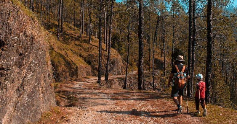 Pexels.com/Yogendra Singh