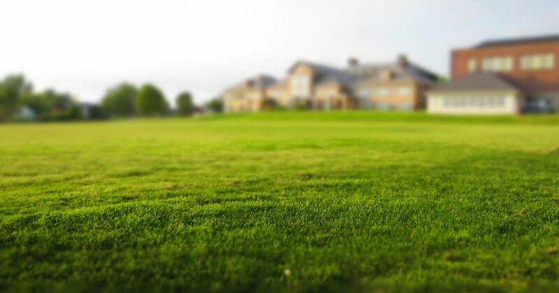 Pexels/Free Nature Stock