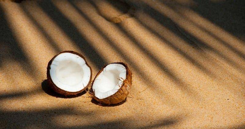 Pexels.com/Oleksandr Pidvalnyi