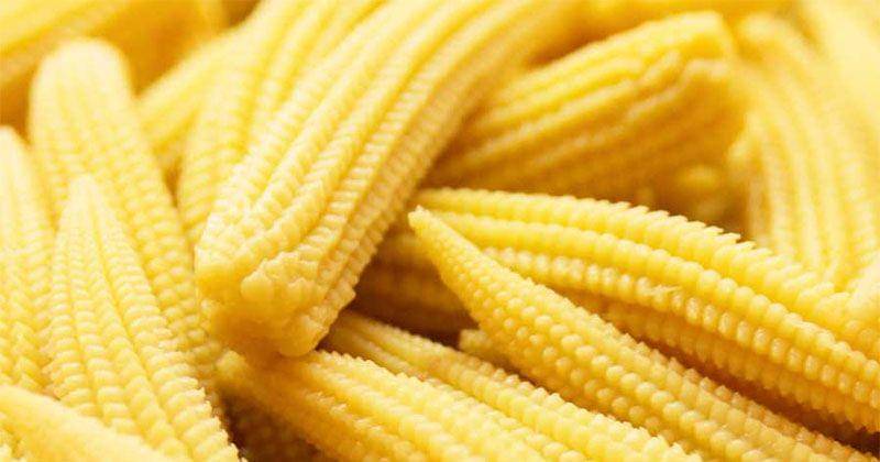 jesmondfruitbarn.com.au