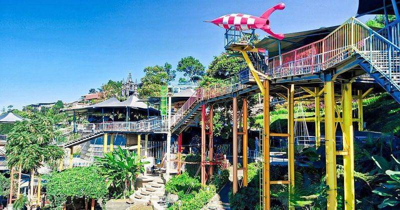 Instagram.com/ddieuland