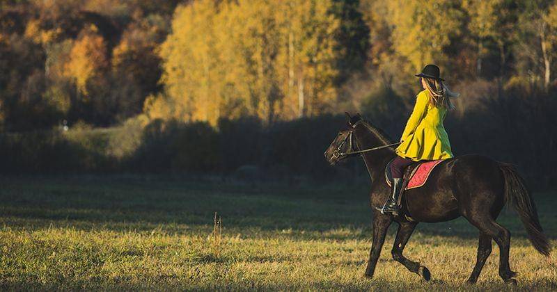 Freepik/Alexeyzhilkin