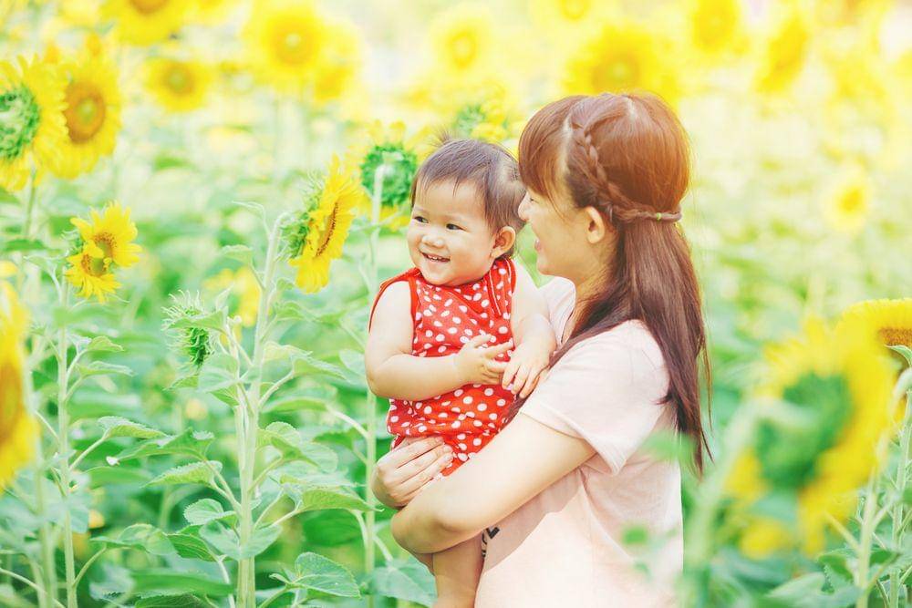 Shutterstock/Natee K Jindakum