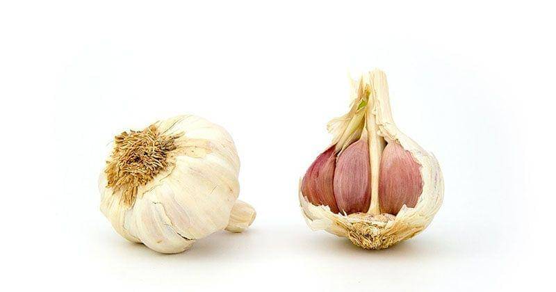 Pixabay/PublicDomainPictures