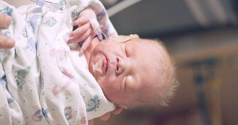 Unsplash/Sharon McCutcheon