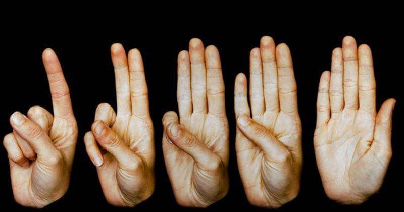 publicdomainpictures.net