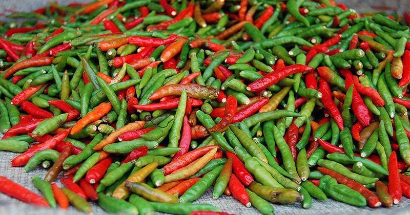 Unsplash/Melina Yakas