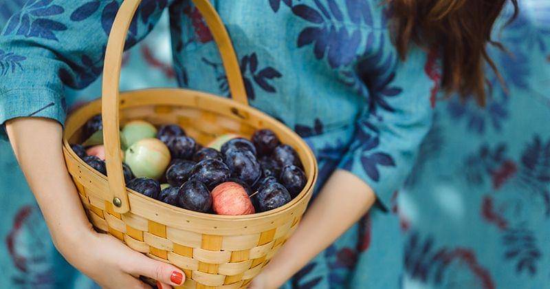 Freepik/Alexeyzhilkin