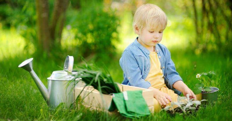 Freepik/maria_sbytova