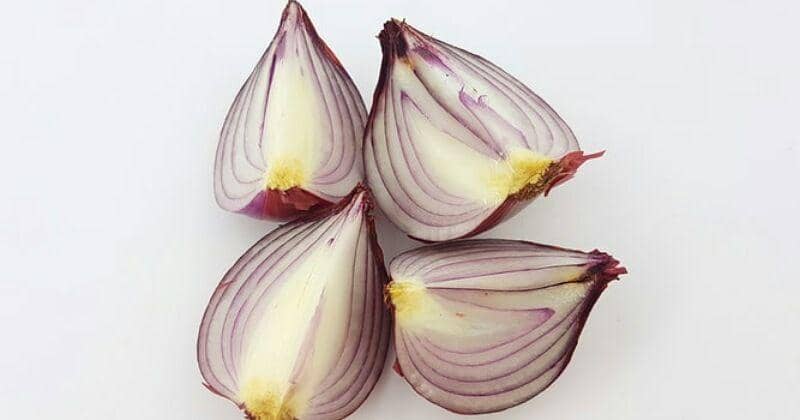 Unplash/Burhan Rexhepi