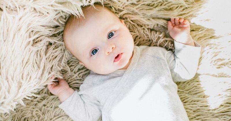 Pexels.com/Daria Shevtsova