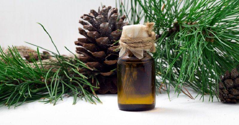 minyak cedarwood - body-feedback.com