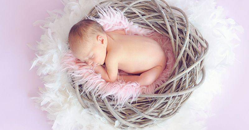 Pixabay/Tawny van Breda