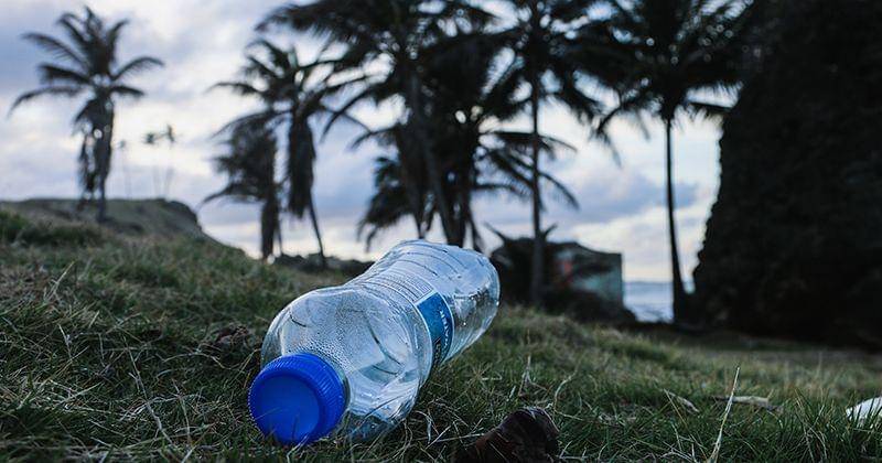 Unsplash/Brian Yurasits