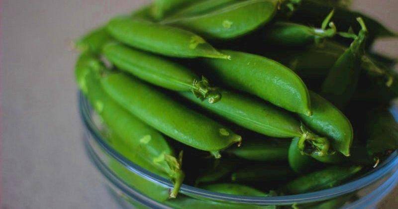 Pexels.com/Valeria Boltneva