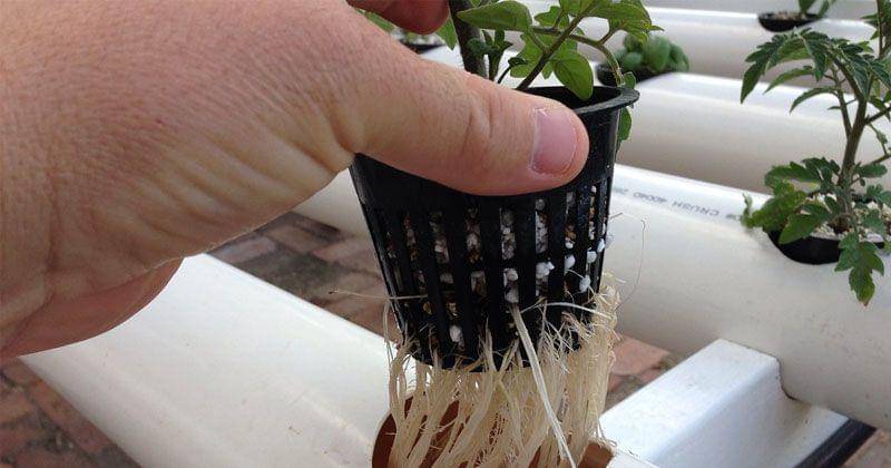 Flickr.com/erikhilton