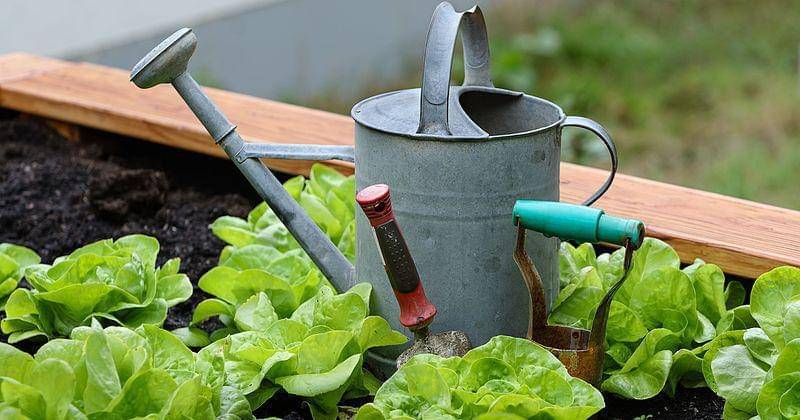 commons.wikimedia.org