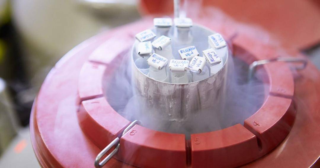 Santabarbarafertility.com