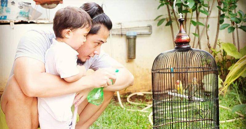 Instagram/kinosnoski