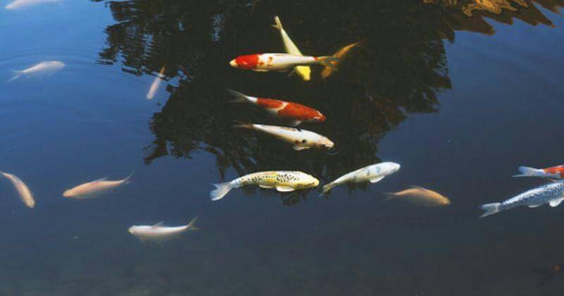 Freepik/Rawpixel.com