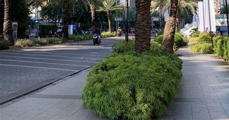 Pinterest.com/Rizkia Kunti Rizkia Kunti