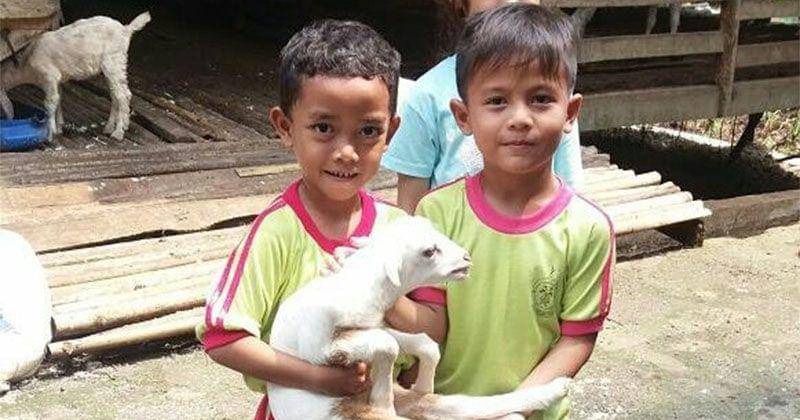 Instagram.com/kampung99pepohonan_