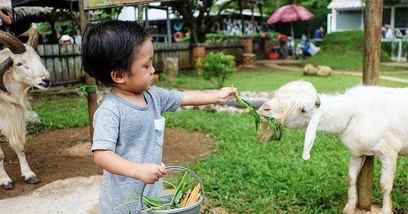 Instagram.com/neysanina